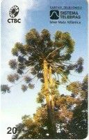 Serie Mata Atlantica - CTBC - Araucária