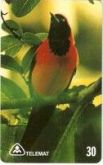 Serie Fauna - Joao Pinto - MT