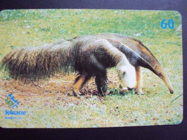 TAMANDUA - AC - ACRE