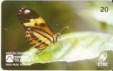 Serie Mata Atlantica - CTBC - Borboleta Laranja