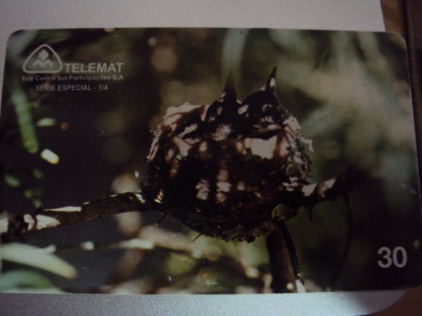 Serie beija-flor - TELEMAT